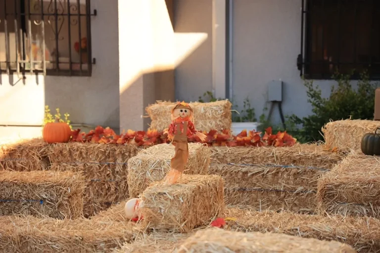 5-hay