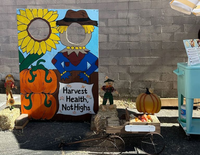 Harvesting-Health-staff-11.9.24asd